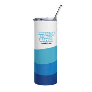 Stainless steel tumbler